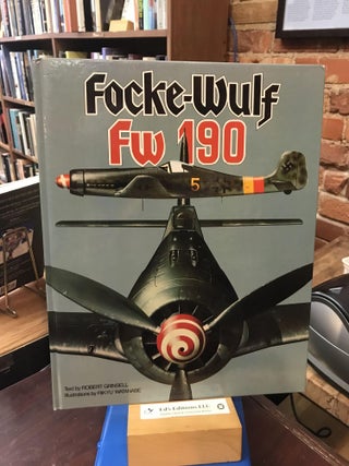 Item #186471 Focke-Wulf FW 190. Robert Grinsell, Rikyu Watanabe
