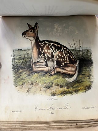 The Viviparous Quadrupeds of North America (Volumes 2 and 3)