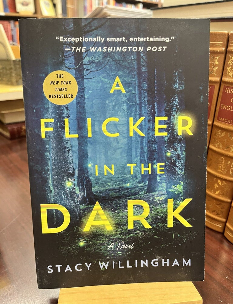 Flicker in the Dark. Stacy Willingham.